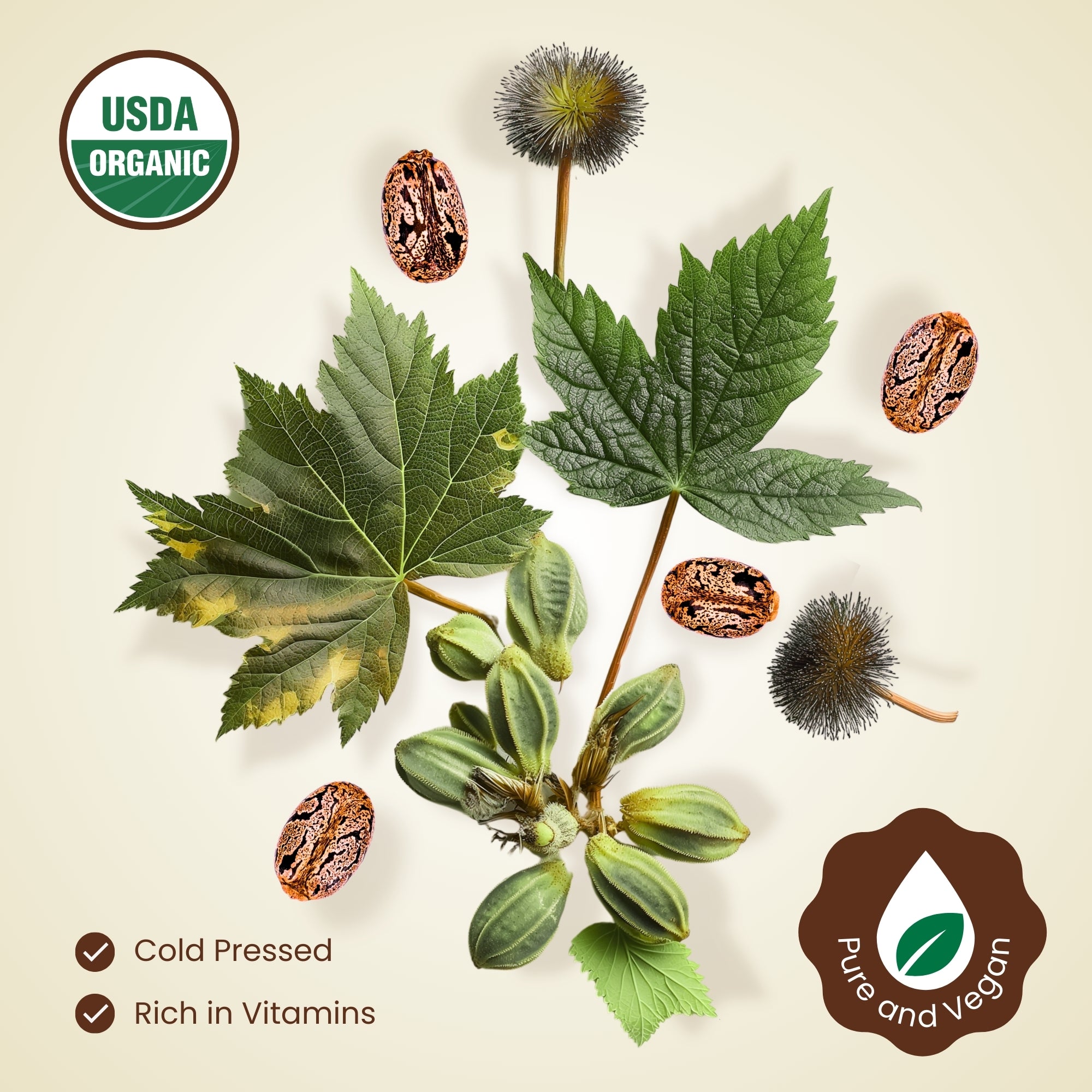 Organic Castor Oil - Pure 100% USDA Certified