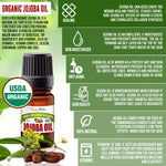 BodyJ4You Jojoba Oil Piercing Aftercare | Stretched Ear Gauges Tragus Nose Septum Lip Navel | Natural Recovery Skin Moisturizer | 100% USDA Organic Pure Unrefined Wax