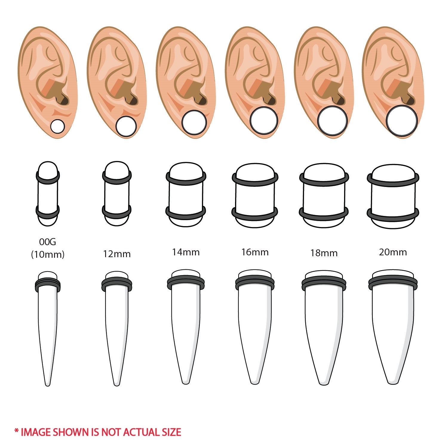 Ear stretching hotsell sizes with pictures
