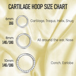 Piercing Ring 14G 16G 18G Hinged Clicker Hoop Implant Grade Titanium CZ Paved Gem Nose Septum Tragus Daith Ear - BodyJ4you