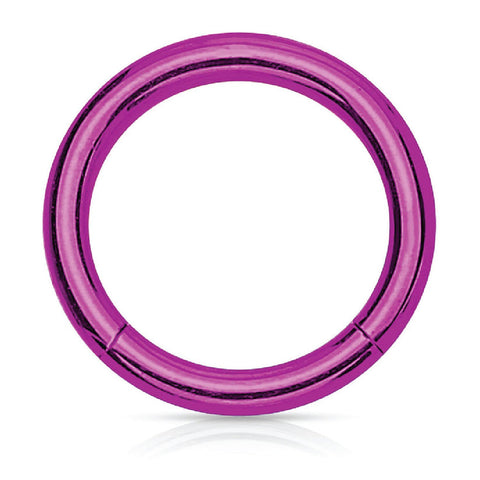 Piercing Ring Hinged Clicker Segment Hoop 4G-20G Purple Steel Nose Septum Lip Tragus - BodyJ4you